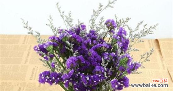 忘不了的花语 以勿忘我花的象征意义