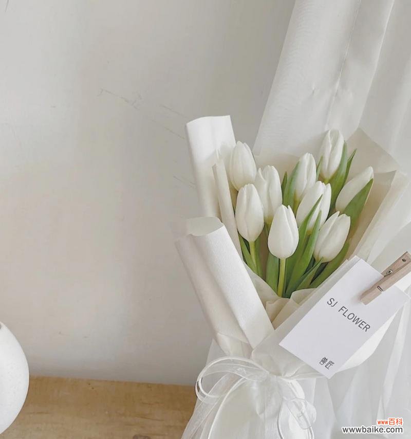 揭示白郁金香的花语秘密 白郁金香花语的深意