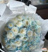 探究玫瑰花海中的一朵独特花朵——碎冰蓝玫瑰 碎冰蓝玫瑰的花语与寓意