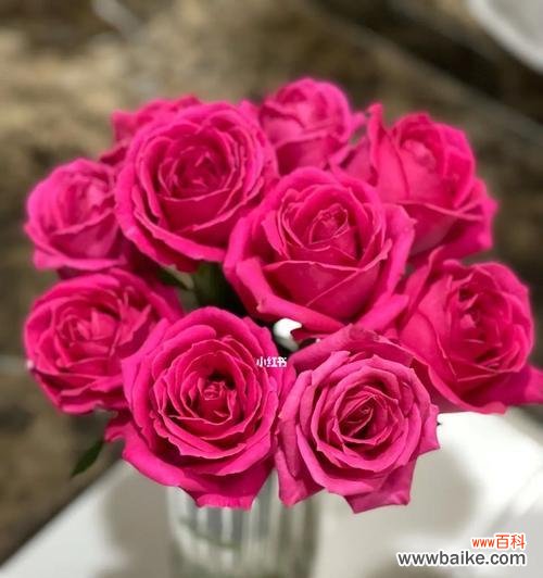 唤起内心深处的情感 大桃红玫瑰花语