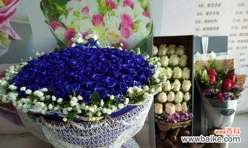 《探寻蓝色妖姬的花语与图片美学》