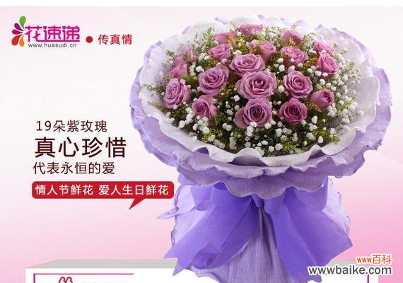 探究紫玫瑰的花语及文化内涵 紫玫瑰代表什么花语?