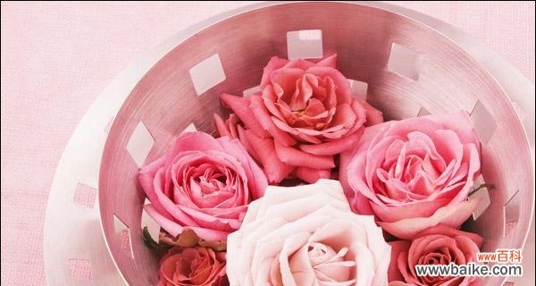 探寻玫瑰花的文化内涵和象征意义 解读玫瑰花的含义