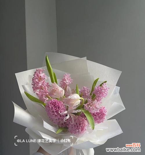 了解粉风信子的花语 以粉风信子的花语是什么