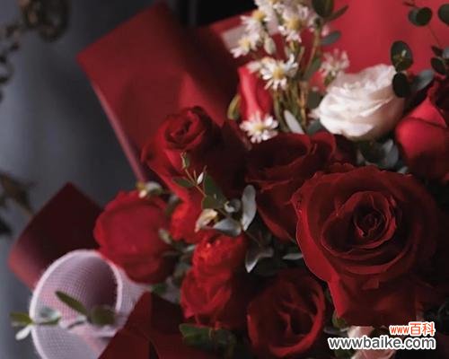 寓意深刻的花语传递爱情 解析29朵玫瑰的含义