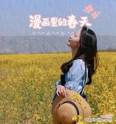 展现春天的美丽与希望 油菜花的花语与寓意