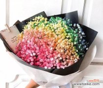 花开满天星 满天星花语