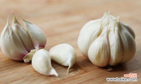 家庭养花技巧:自制天然杀虫剂