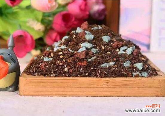 米兰花能浇白醋吗?米兰花掉叶子放点白醋即可挽回