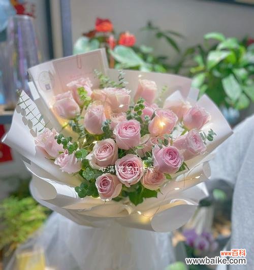 解读粉雪山玫瑰的象征意义和美丽特质 粉雪山玫瑰的花语和魅力