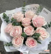 解读粉雪山玫瑰的象征意义和美丽特质 粉雪山玫瑰的花语和魅力