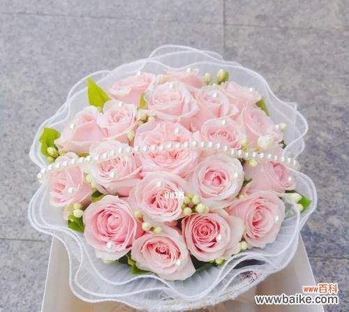 探寻粉佳玫瑰的美丽与深意 以粉佳玫瑰代表的意义与象征