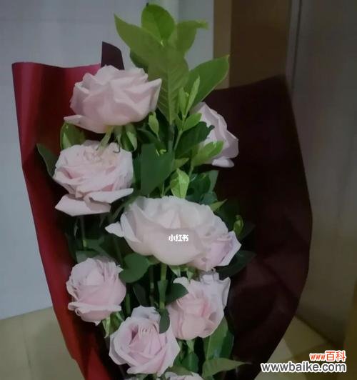 探寻粉佳玫瑰的美丽与深意 以粉佳玫瑰代表的意义与象征