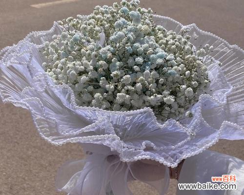 探寻满天星花的传统文化内涵 满天星花的寓意与象征意义