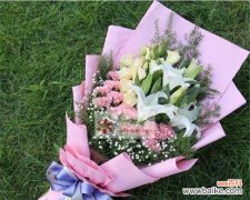 不同花语传递的爱与情 花语寓意之百合康乃馨情人草玫瑰