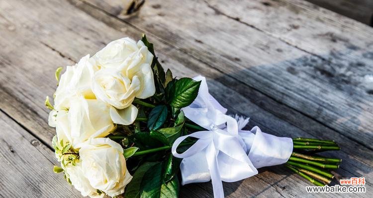 纯洁、敬仰、祝福和爱情 白玫瑰的花语与象征