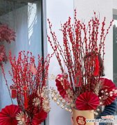 寓意深刻，花语多样，让我们了解银柳的魅力 银柳的花语与寓意