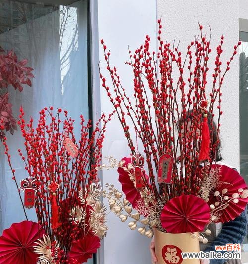 寓意深刻，花语多样，让我们了解银柳的魅力 银柳的花语与寓意