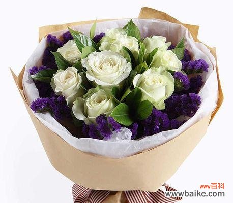 探究白玫瑰之神秘,窥探花开之意 白玫瑰之花语与寓意