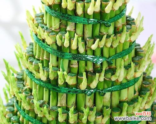 探寻富贵竹塔的吉祥象征与文化传承 富贵竹塔的意义与寓意