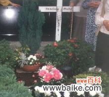 揭秘洛丽玛丝花语的历史和文化内涵 洛丽玛丝——神秘的花语