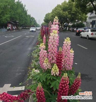 以母子为主题的中国艺术 中国母子象征艺术