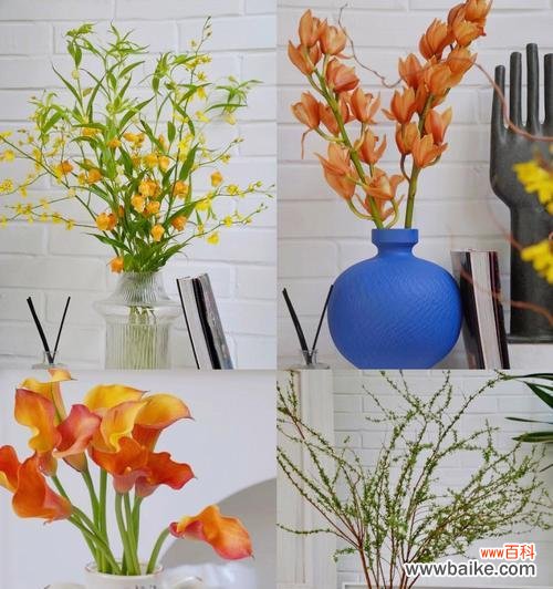 百合花语传递着爱的美好愿望 宫灯百合花语