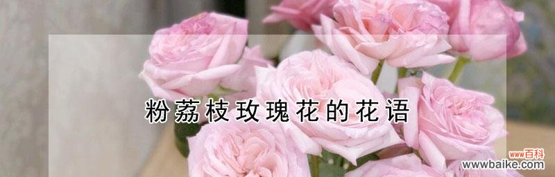 揭秘六种不同的花语,送出爱的暗示 六朵玫瑰花语的含义