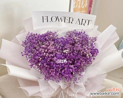 紫色满天星的神秘魅力和象征意义 紫色满天星的美丽意义