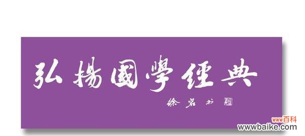 野菊花的花语与传说 紫色野菊花花语