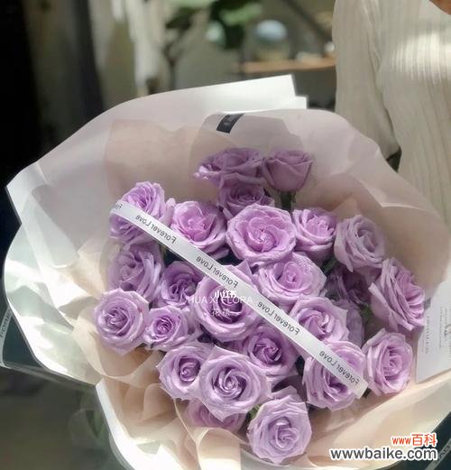 恋人之间心灵的交融与情感的升华 海洋之歌玫瑰花语