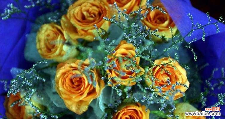 探寻不同数量的玫瑰所代表的含义 玫瑰数量的意义