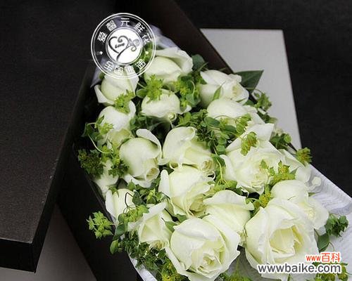 探寻送白玫瑰的文化内涵 白玫瑰的意义与传承