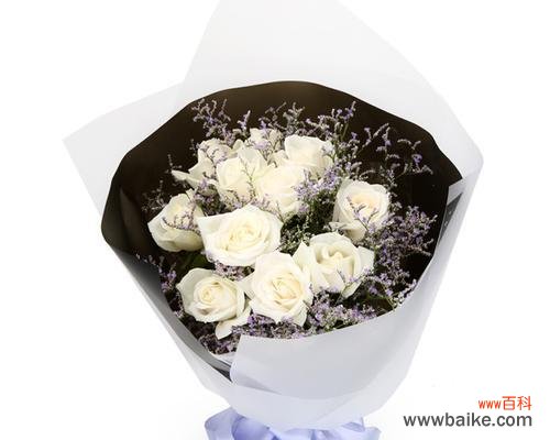 探寻送白玫瑰的文化内涵 白玫瑰的意义与传承