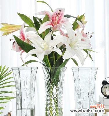 寓意吉祥的百合花与富贵竹的完美组合 百合花与富贵竹的搭配与意义