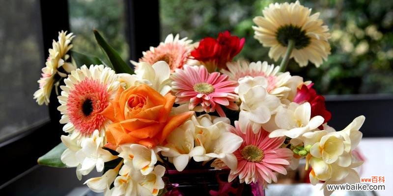 花朵在餐桌上的寓意与选择技巧 餐桌上的花朵