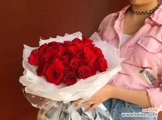 水中宁静 荷花的生长过程