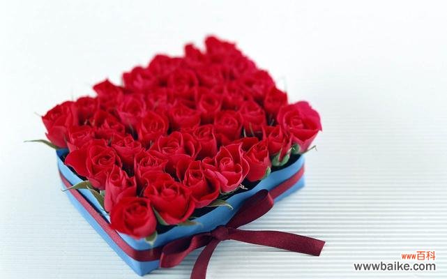 探秘玫瑰的不同色彩所代表的含义 花开语意，浪漫玫瑰花语