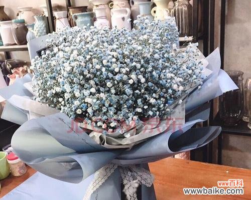 美丽绽放的幸福之花雪白和湛蓝在阳光下绽放 迎接幸福的花海