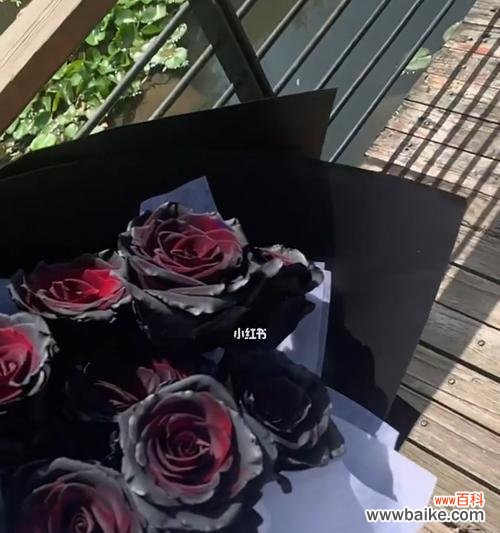 探索黑玫瑰的神秘美丽 黑玫瑰的寓意与象征