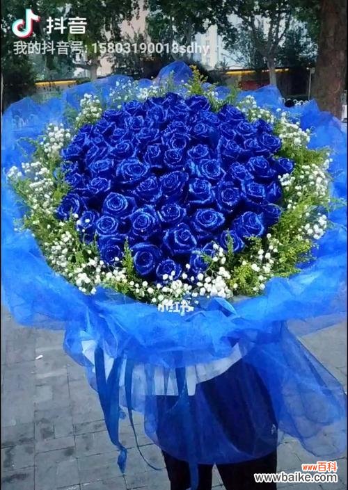 蓝色玫瑰代表什么意思?解读蓝色玫瑰的花语 蓝色玫瑰的花语