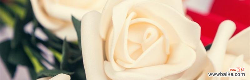 探秘白色玫瑰背后的深刻含义 传递爱意的花语——白色玫瑰