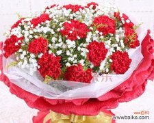 解读康乃馨19朵的花语和情感寓意 康乃馨19朵花的含义和象征