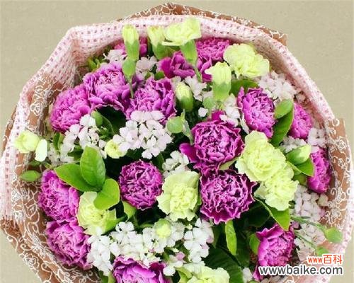 解读康乃馨19朵的花语和情感寓意 康乃馨19朵花的含义和象征