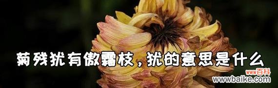 以菊残犹有傲霜枝 傲霜枝——寻找坚强的勇气