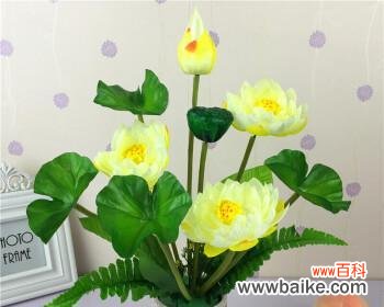 以花瓶里插枝荷花 插枝荷花，寓意美好生活