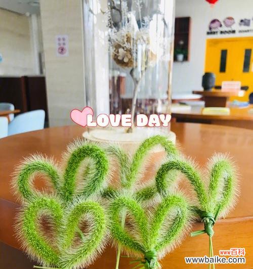 寓意深刻的小花,传递着什么信息? 狗尾巴花的花语