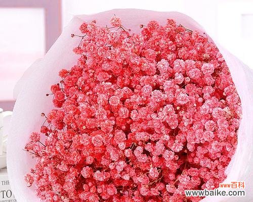 点亮热情，照耀坚定；繁花似锦，绽放美好 红色满天星，花语揭秘