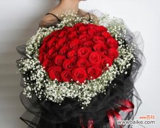 点亮热情，照耀坚定；繁花似锦，绽放美好 红色满天星，花语揭秘