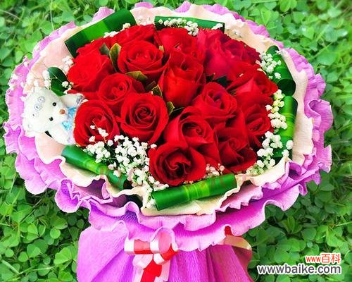 探究玫瑰花朵数的象征意义 送花节数的含义